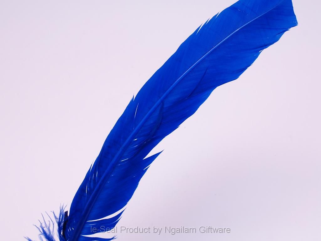 Feather color - Navy.JPG